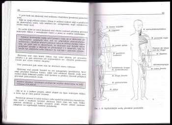 Eugen Rašev: Škola zad