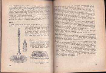 Josef Peiker: Školkařství