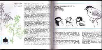 Miroslav Pecha: Školní naučná přírodopisná stezka Křivoklát