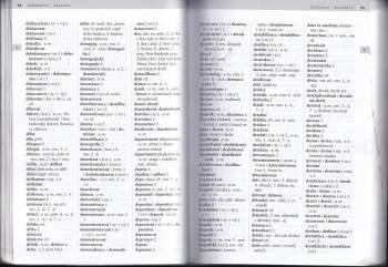 Marie Sochrová: Školní pravidla českého pravopisu