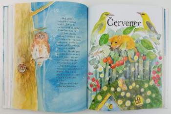 Hana Primusová: Skřítek Rozekvítek