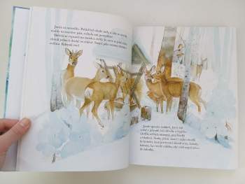 Hana Primusová: Skřítek Rozekvítek