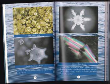 Masaru Emoto: Skrytá tajemství vody