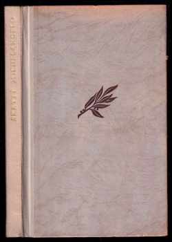 Michelangelo Buonarroti: Skrytý Michelangelo