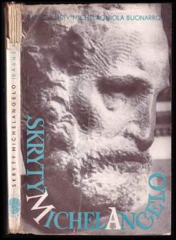 Skrytý Michelangelo