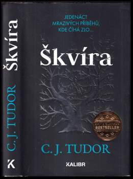 C. J Tudor: Škvíra