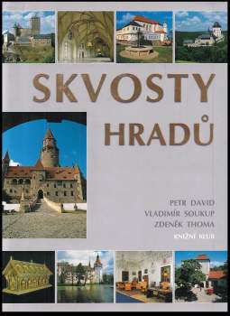 Petr David: Skvosty hradů