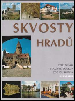 Petr David: Skvosty hradů