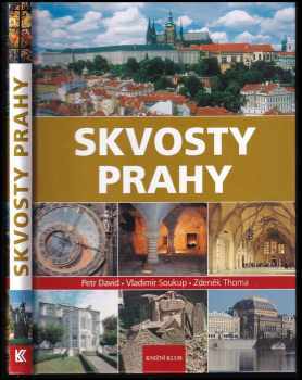 Petr David: Skvosty Prahy