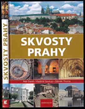 Petr David: Skvosty Prahy