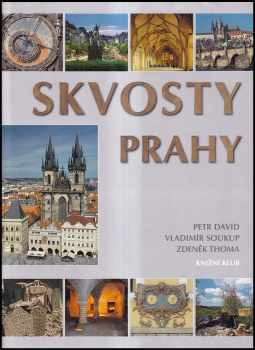 Petr David: Skvosty Prahy