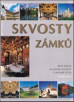 Petr David: Skvosty zámků