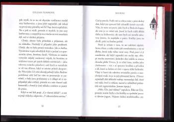 Gillian Flynn: Skvrna