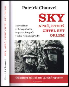Patrick Chauvel: Sky