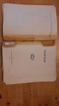 Václav Junek: Slabikář
