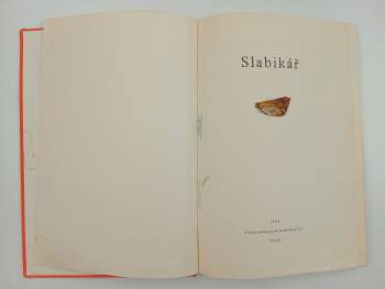 Václav Junek: Slabikář
