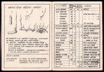 Antonín Patera: Slabikář zahradníků