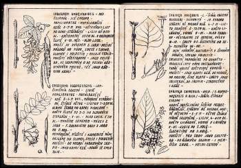 Antonín Patera: Slabikář zahradníků