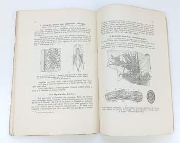 Josef Kafka: Sladkovodní mechovky země České