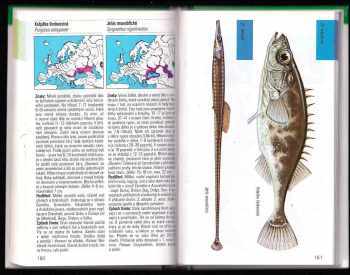 Fritz Terofal: Sladkovodní ryby v evropských vodách