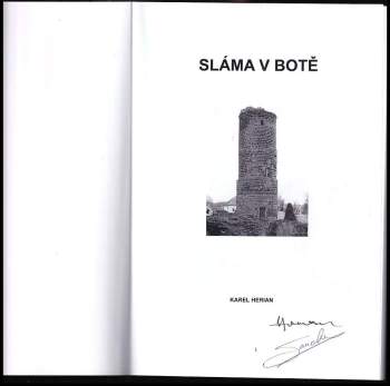 Karel Herian: Sláma v botě