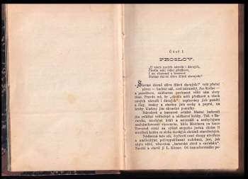 Tereza Nováková: Slavín žen českých