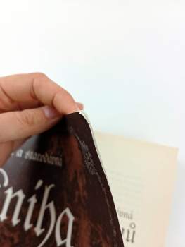 Silver RavenWolf: Slavná a starodávná kniha stínů pro vědmy a čarodějnice