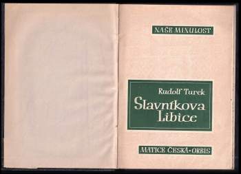 Rudolf Turek: Slavníkova Libice