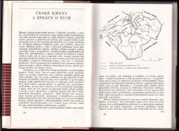 Rudolf Turek: Slavníkovci a jejich panství