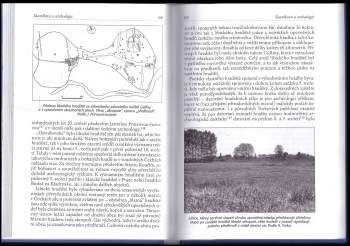 Michal Lutovský: Slavníkovci