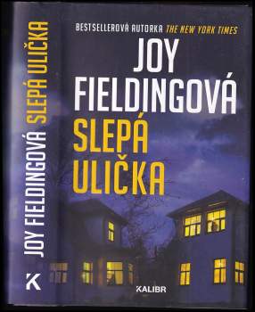 Joy Fielding: Slepá ulička