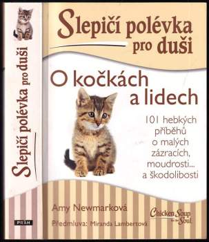 Slepičí polévka pro duši