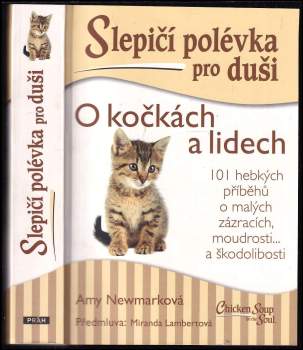 Slepičí polévka pro duši