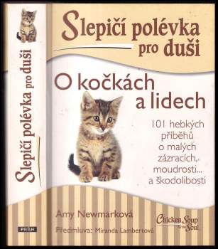 Slepičí polévka pro duši