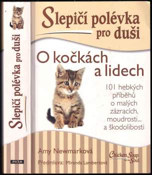 Slepičí polévka pro duši