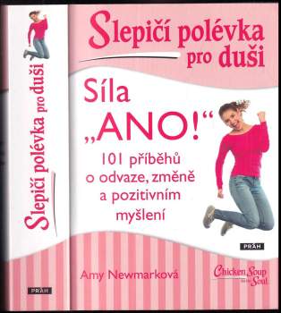 Slepičí polévka pro duši : síla 