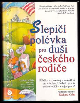 Slepičí polévka pro duši českého rodiče