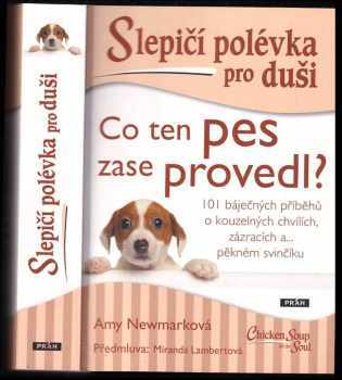 Slepičí polévka pro duši