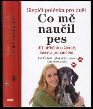 Slepičí polévka pro duši
