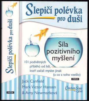 Slepičí polévka pro duši