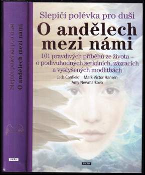 Jack Canfield: Slepičí polévka pro duši