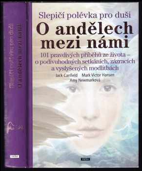 Slepičí polévka pro duši