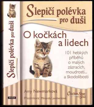 Slepičí polévka pro duši