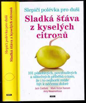 Slepičí polévka pro duši