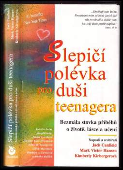 Slepičí polévka pro duši teenagera
