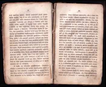 Gustav Nieritz: Slepý pacholjček
