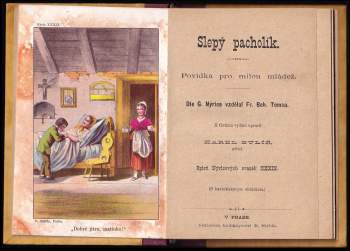 Gustav Nieritz: Slepý pacholík