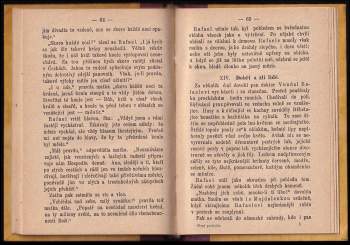 Gustav Nieritz: Slepý pacholík