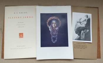 A. Ludvík Salač: Slezské jařmo