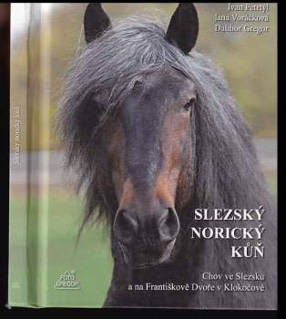 Slezský norický kůň